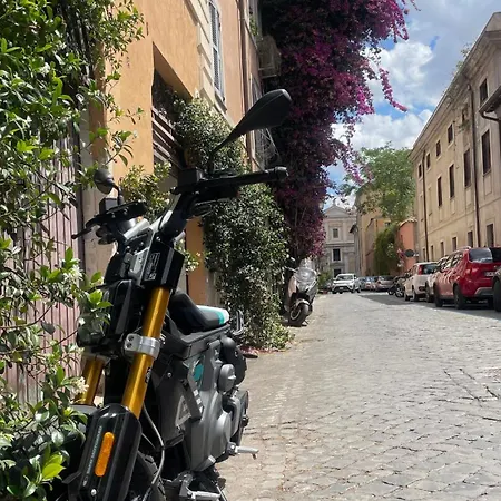 La Maison B8 Appartamento