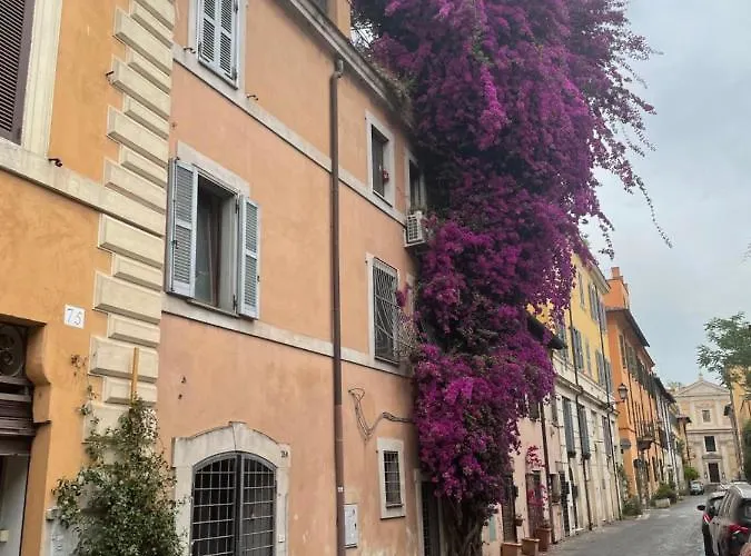 Apartamento La Maison B8 *