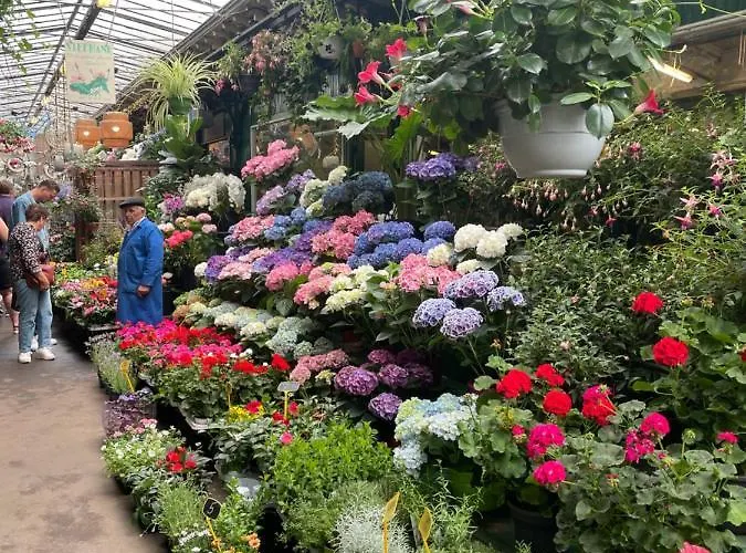 La Maison B8 Appartement Rome