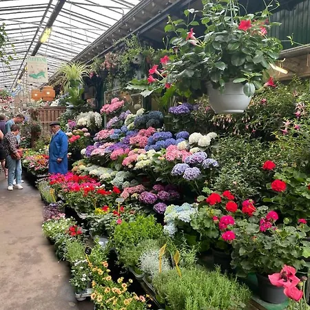 La Maison B8 Apartment Rom